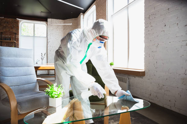 Best Comprehensive Air Testing for Mold Contaminants  in Middleport, OH