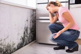 Best HVAC Mold Inspection and Cleaning  in Middleport, OH